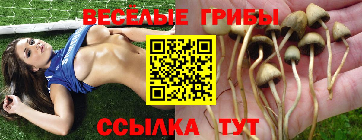 Псилоцибиновые грибы ЛСД  Вход с VPN  наркотики  Кизляр 